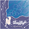 dayfly_introduction